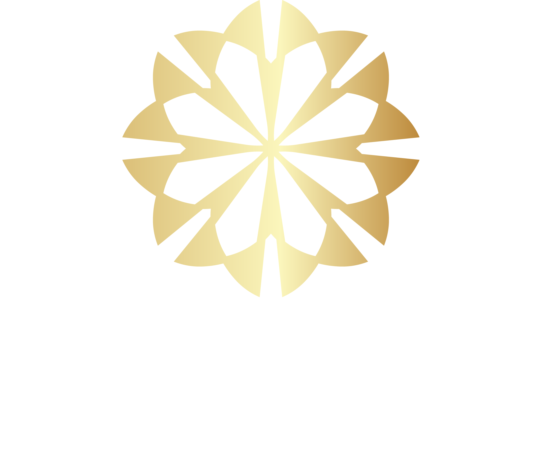 Công ty Cổ phần dịch vụ và phát triển BĐS Diamond Holdings